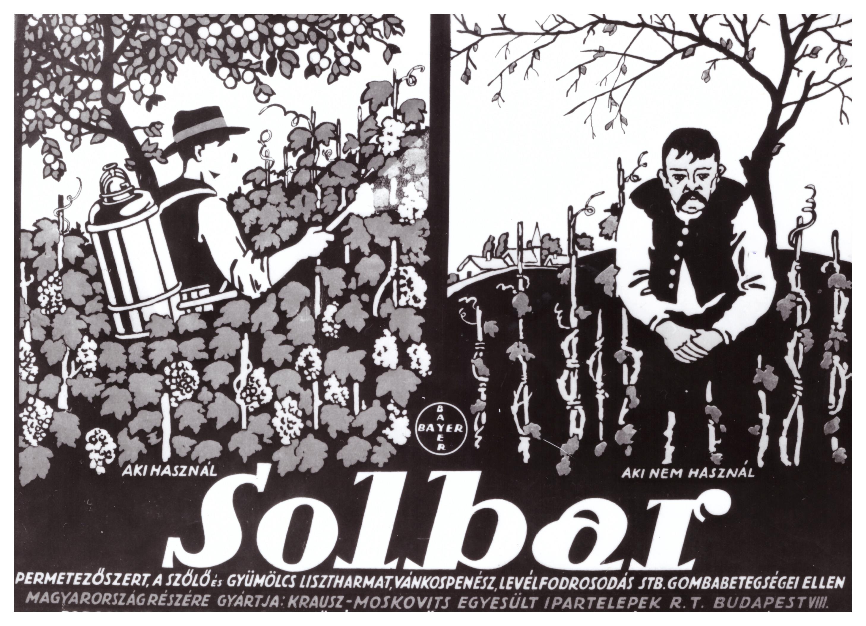 Vendéglátóhelyekre vonatkozó alapvető szabályok koronavírussal kapcsolatosan